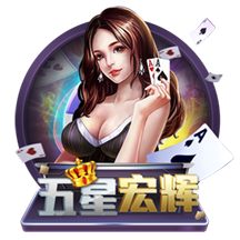 TA女足欧洲杯球队巡礼冰岛篇：战术型教练与欧冠经验带来优势